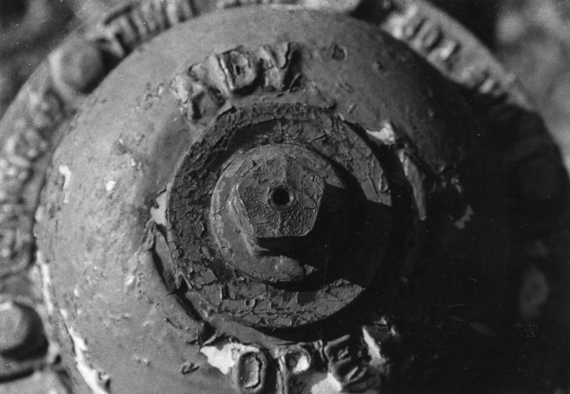 black and white image of the top of a fire hydrant, with a shallow depth of field